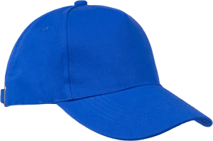 Бейсболка васильковая, электрик Шап 003.03